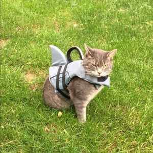 Meet your Posher, Margarita